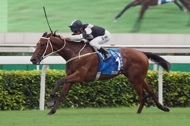 戴眼罩夺魁家族曾养香港马王尊龙凯时APP王经纬赛驹(图3)