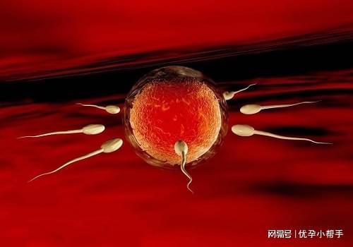 孕期需要注意什么呢？-优孕行z6尊龙网站高龄女性备孕及